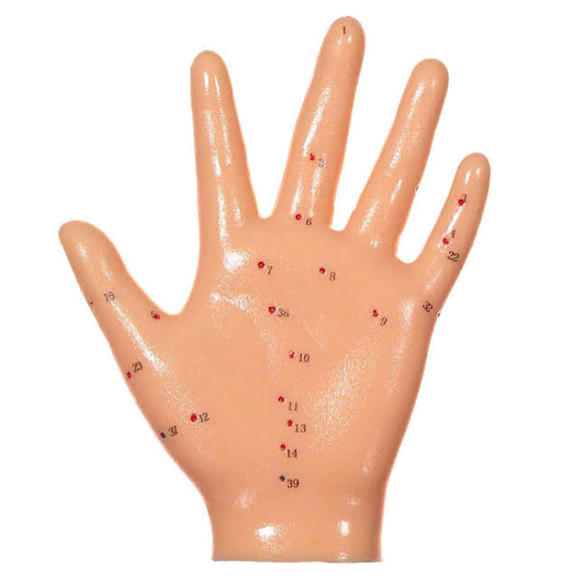 Acupuncture Hand Model - 13cm